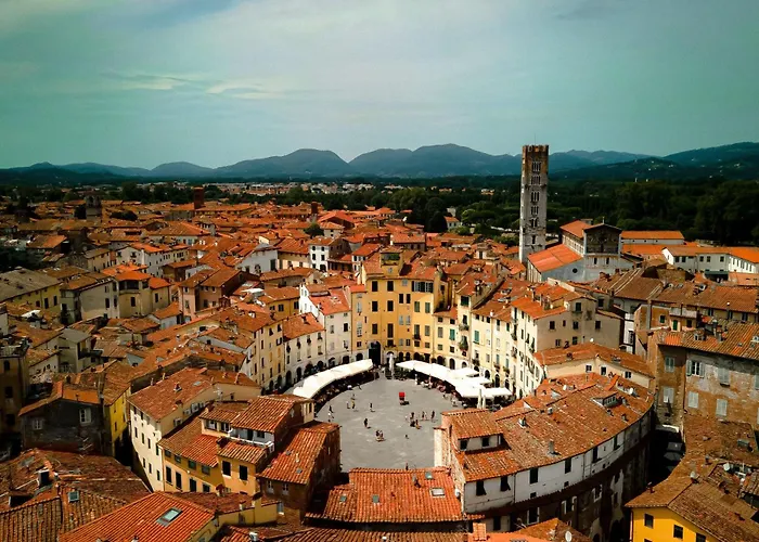 Apartamento Le Mimose In - Happy Lucca